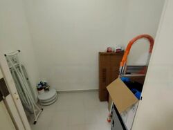 8 @ Mount Sophia (D9), Condominium #483964411